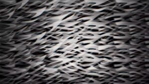 TEXTURE